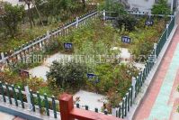 河南汙水處（chù）理設備如何安全安裝（zhuāng）