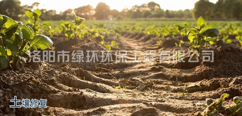 土壤（rǎng）修複與治理